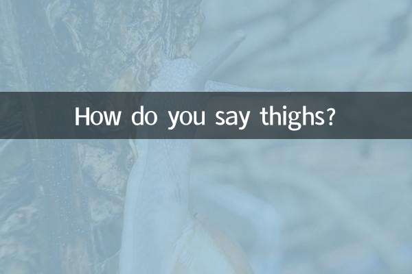 आप जांघें कैसे कहते हैं?