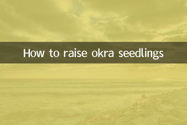 How to raise okra seedlings