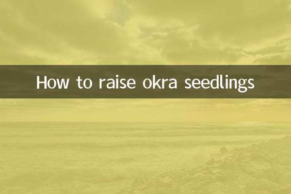 How to raise okra seedlings