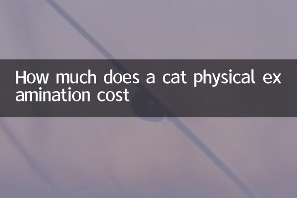 How much does a cat physical examination cost