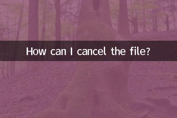 Come posso cancellare il file?