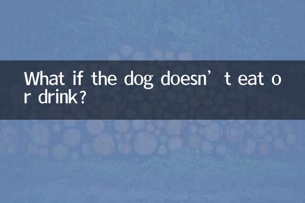 E se o cachorro não comer nem beber?