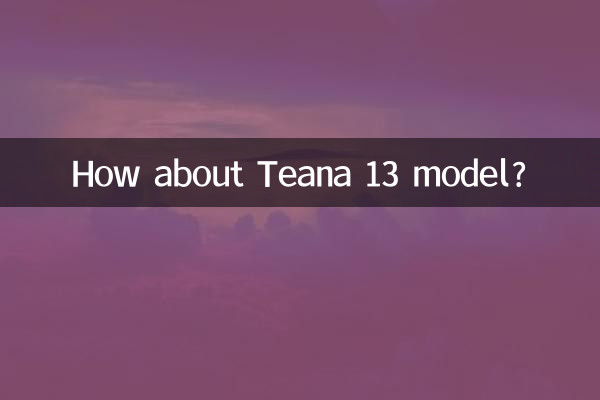 Teana 13 모델은 어떤가요?
