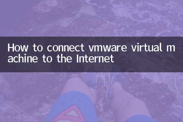vmware 仮想マシンをインターネットに接続する方法