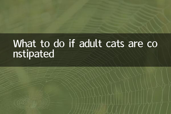 成猫便秘怎么办