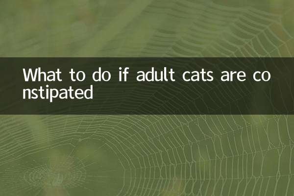 成猫便秘怎么办