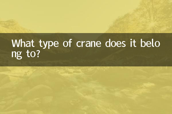 ¿A qué tipo de grúa pertenece?