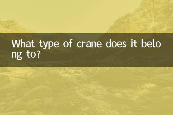 यह किस प्रकार की क्रेन से संबंधित है?
