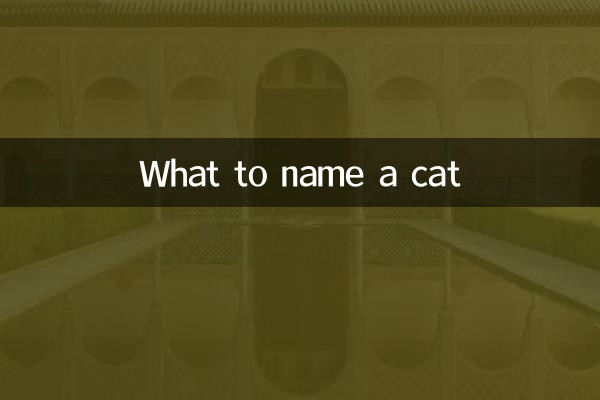 बिल्ली का क्या नाम रखें