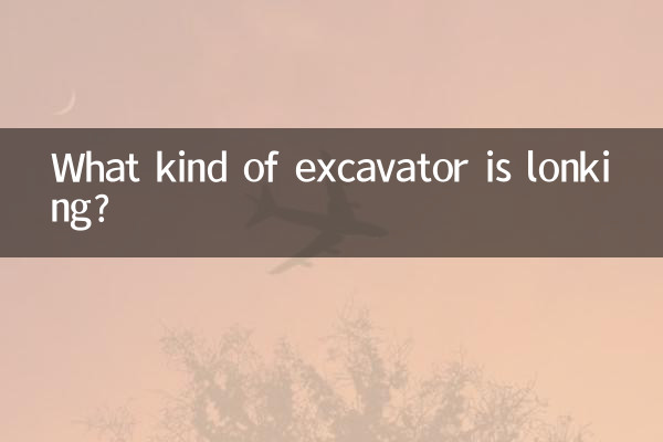 लोंकिंग किस प्रकार का उत्खननकर्ता है?