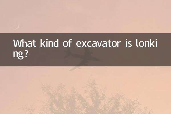 어떤 종류의 굴삭기가 론킹하고 있습니까?