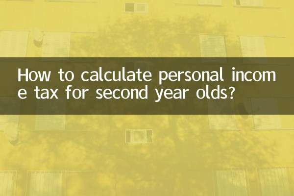 چگونه مالیات بر درآمد شخصی را برای سال دوم محاسبه کنیم؟