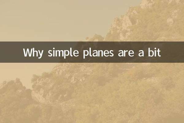 왜 단순한 비행기가 조금인가?