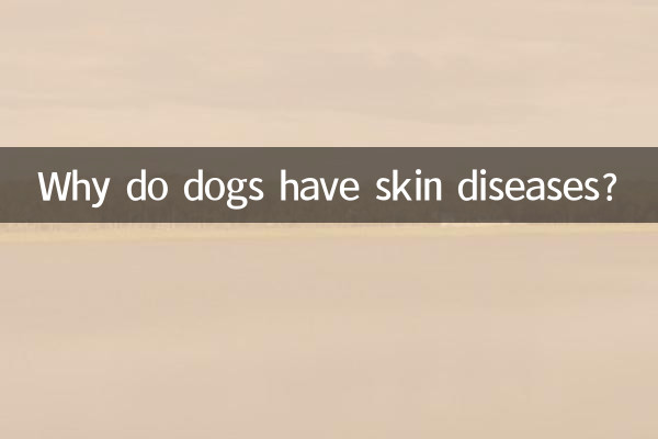 狗狗怎么会有皮肤病