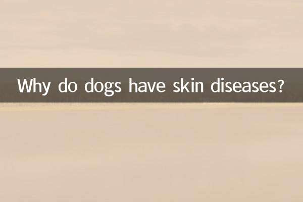 狗狗怎么会有皮肤病