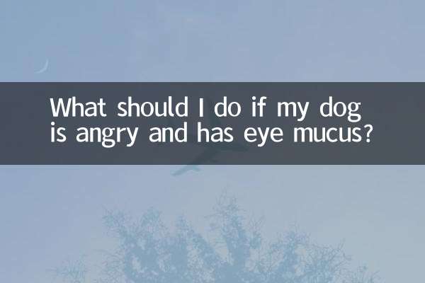 O que devo fazer se meu cachorro estiver com raiva e tiver muco nos olhos?