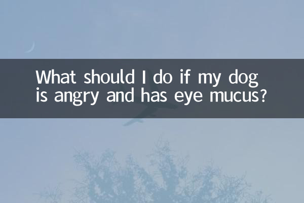 ماذا أفعل إذا كان كلبي غاضبًا ولديه مخاط في العين؟