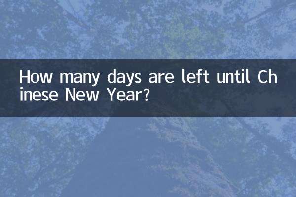 Combien de jours reste-t-il avant le Nouvel An chinois ?