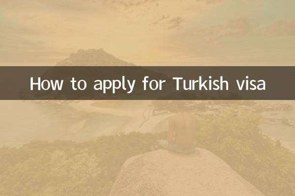 トルコビザの申請方法