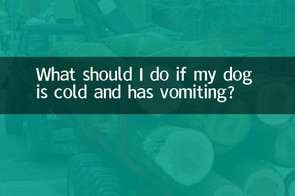 Que dois-je faire si mon chien a froid et vomit ?