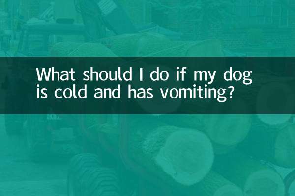 اگر سگ من سرد است و استفراغ می کند چه باید بکنم؟