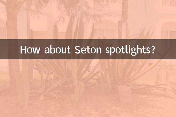 西頓射燈怎麼樣