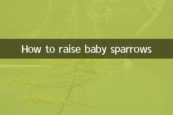 How to raise baby sparrows