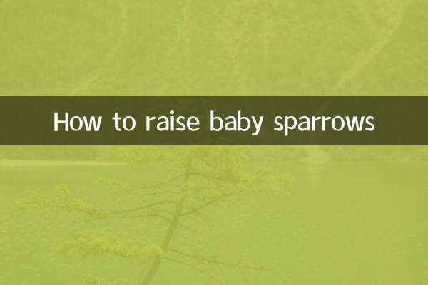 How to raise baby sparrows