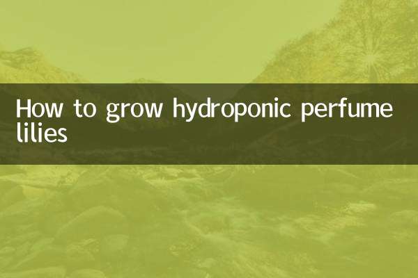 How to grow hydroponic perfume lilies
