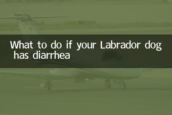 What to do if your Labrador dog has diarrhea