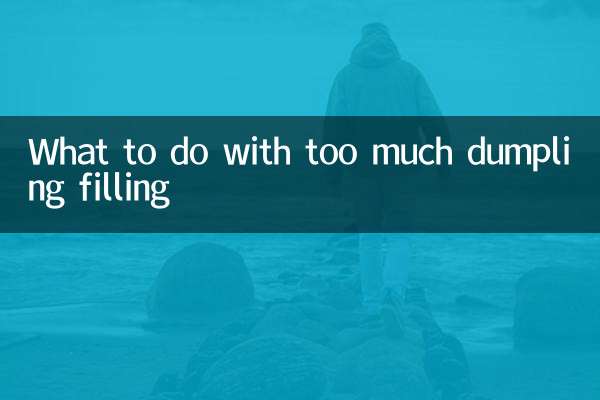 What to do with too much dumpling filling