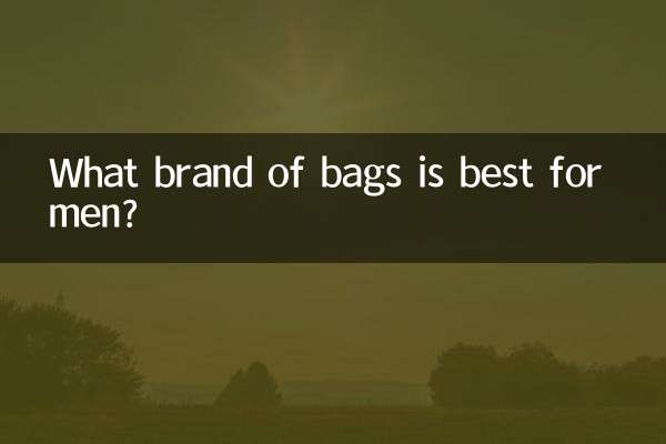 পুরুষদের জন্য কোন ব্র্যান্ডের ব্যাগ সবচেয়ে ভালো?