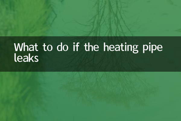 গরম করার পাইপ লিক হলে কি করবেন