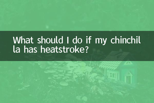Was soll ich tun, wenn meine Chinchilla einen Hitzschlag hat?