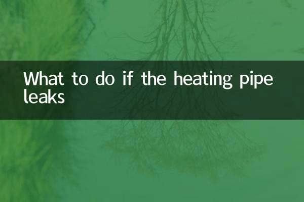 What to do if the heating pipe leaks