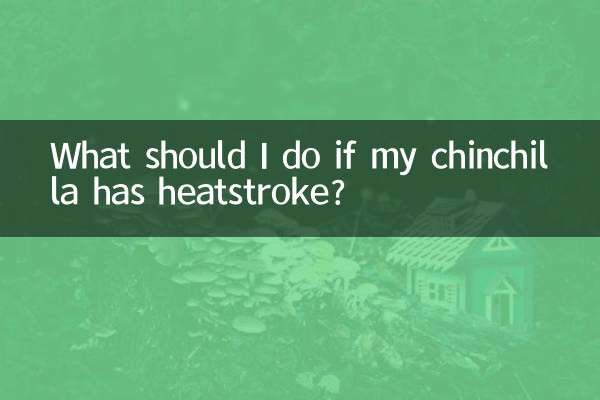 친칠라가 열사병에 걸리면 어떻게 해야 하나요?