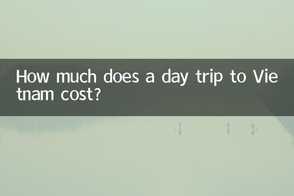 ベトナムへの日帰り旅行の費用はいくらですか?