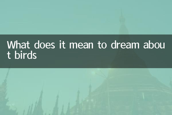 새를 꿈꾸는 것은 무엇을 의미합니까?