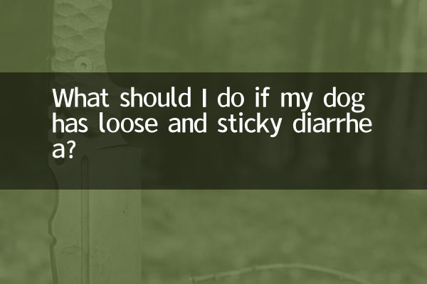 আমার কুকুরের আলগা এবং আঠালো ডায়রিয়া হলে আমার কী করা উচিত?