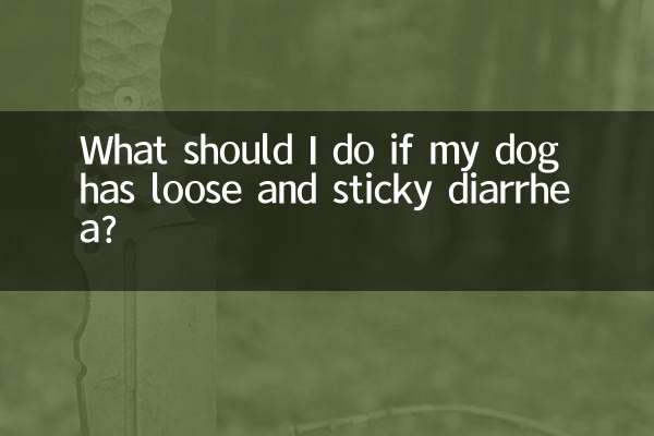 আমার কুকুরের আলগা এবং আঠালো ডায়রিয়া হলে আমার কী করা উচিত?
