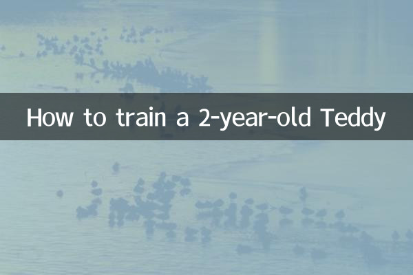 2歳児のテディのしつけ方