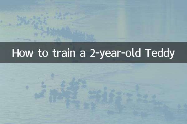 কিভাবে একটি 2 বছর বয়সী টেডি প্রশিক্ষণ