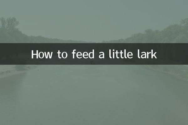 Como alimentar uma cotovia