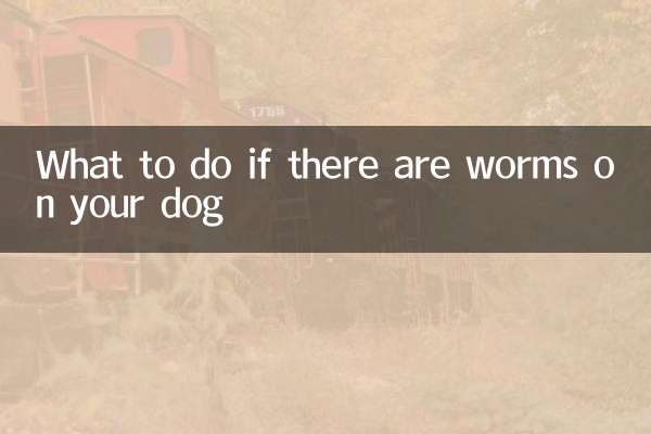 O que fazer se houver vermes no seu cachorro