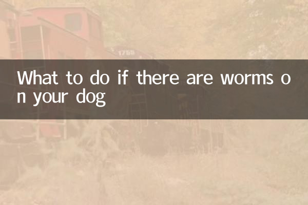 Que faire s'il y a des vers sur votre chien