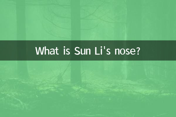 Sun Li의 코는 무엇입니까?