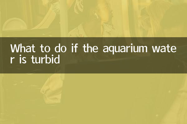 অ্যাকোয়ারিয়ামের জল ঘোলা হলে কী করবেন