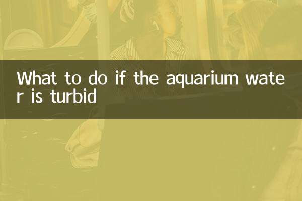 अगर एक्वेरियम का पानी गंदा हो तो क्या करें?