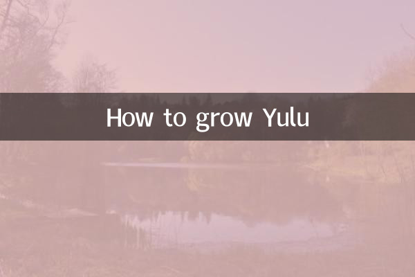 युलु कैसे उगायें