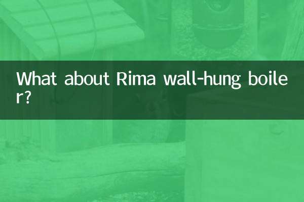 Was ist mit dem wandhängenden Heizkessel von Rima?